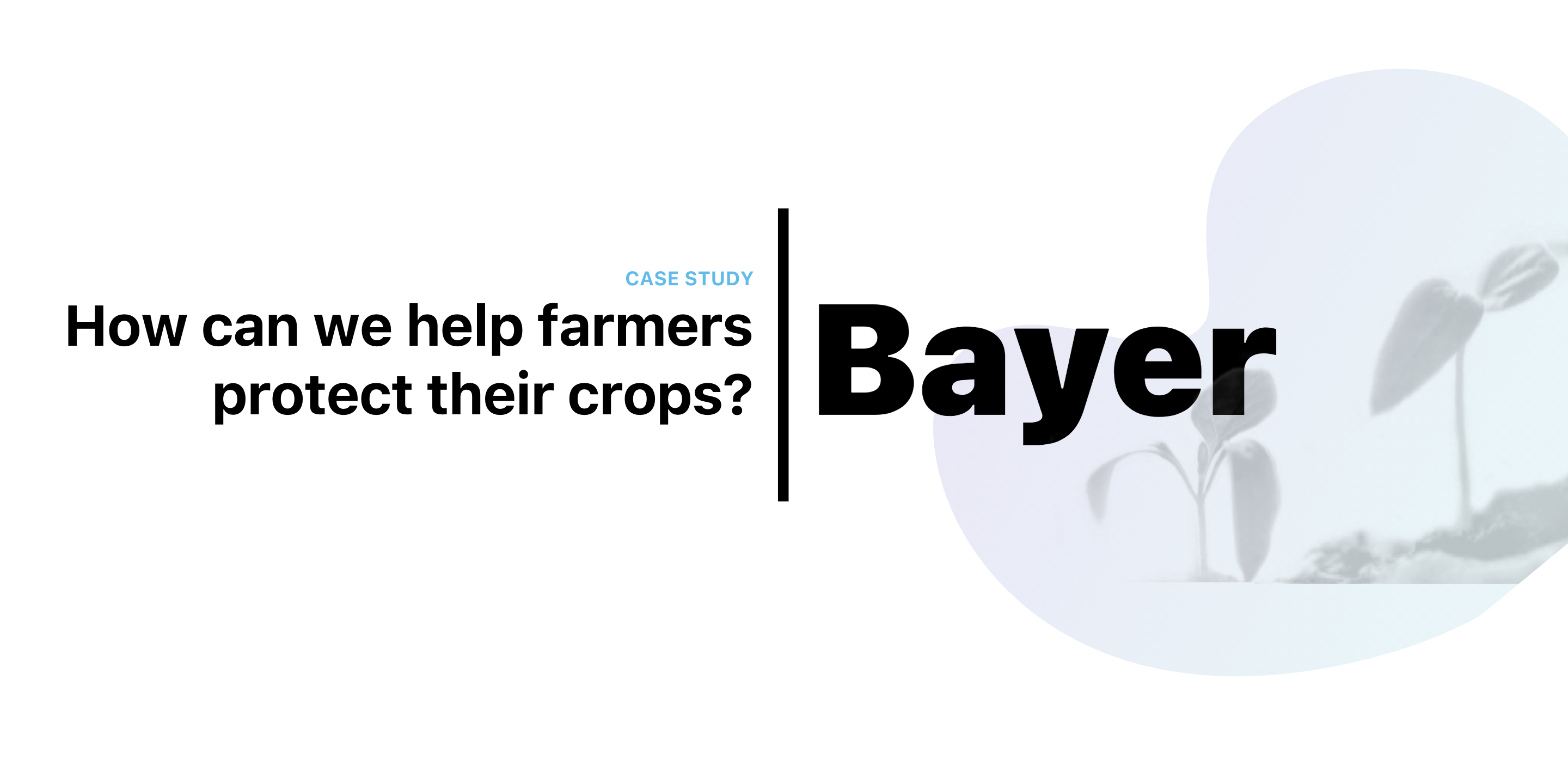 Bayer Crop Science Case Study